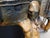 Renzo "Awake" Bronze Sculpture Hand Signed Artwork 58h X 26w X 16d For Sale - Image 11 of 17