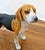 1990s Vintage MCM Andrea by Sadek Beagle Dog Figurine Japan For Sale - Image 5 of 8