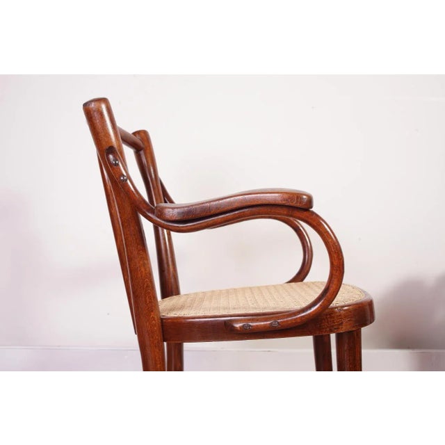 Vintage Children's Chair Model Z 2F From Thonet, 1930s For Sale - Image 11 of 18