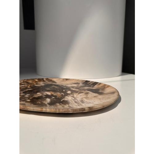 Very Large Vide-Poche or Dish in Petrified Wood For Sale - Image 18 of 18