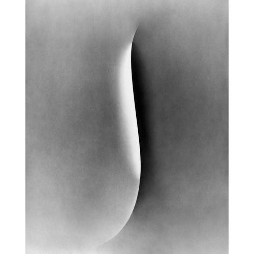 Papercut No.5' 2026 Limited edition of 10 Printed on archival Hahnemühle Photo Rag Baryta paper. Signed both front and...