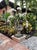 Vintage Classical Cast Stone Garden Urn With Fleur-De-Lis Relief & Weathered Patina For Sale - Image 10 of 12