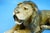 20th Century Porcelain Model 1268 Lion Sculpture by Lauritz Jensen for Royal Copenhagen, Denmark For Sale - Image 17 of 18