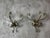Antique Brass Coat Hooks, 1900, Set of 2 For Sale - Image 9 of 13