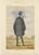 French Belle Époque Racing Caricature, Mr Charles Lafitte Chromolithograph, 1884 This elegant French chromolithograph...