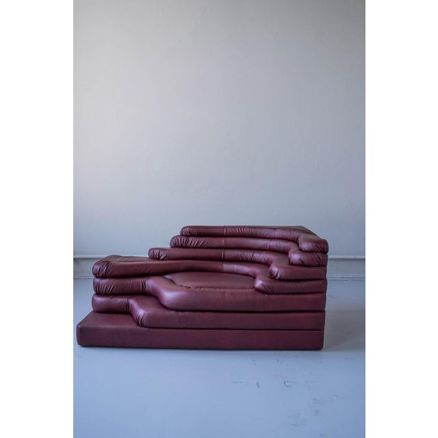 Terrazza Landscapes in Burgundy Leather by Ubald Klug for de Sede, 1970s, Set of 4 For Sale - Image 6 of 18