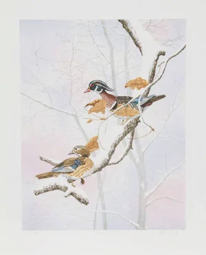 Chris Forrest, "Wood Ducks," Lithograph