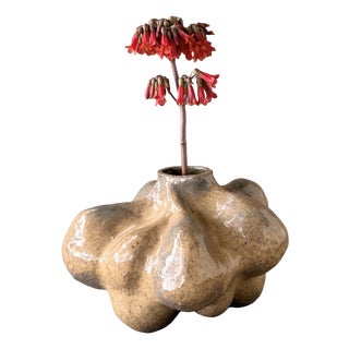 Bulbo Jaspe Organic Sculptural Vase in Handmade Ceramic by Pellizco Cerámica For Sale