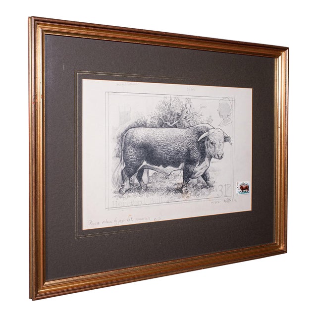 Vintage Hereford Bull Sketch, English, Framed Art, Stamp Proof, Barry Driscoll For Sale