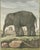 Black Antique Elephant Hand-Coloured Prints by Buffon, 1769, Set of 2 For Sale - Image 8 of 14