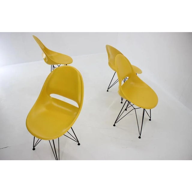 Mid-Century Yellow Fiberglass Dining Chairs by M. Navratil, 1960s, Set of 4 For Sale - Image 6 of 16