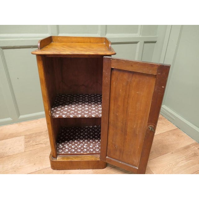 Victorian Birch Bedside Cupboard For Sale - Image 6 of 8