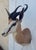 African Springbok Antelope Shoulder Mount Taxidermy South Africa For Sale - Image 12 of 13