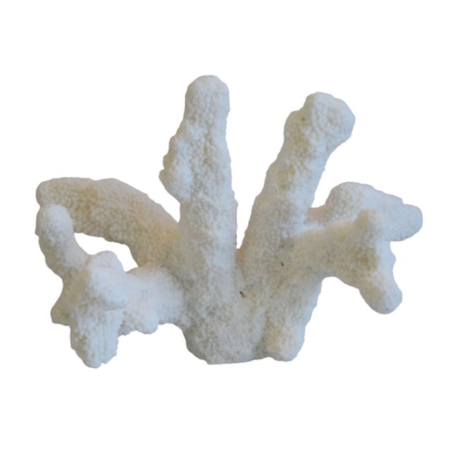 Large natural nautical coastal white coral specimen. No maker's mark. Sourced with an in-depth understanding of the...