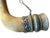 A circa 1897 steer horn trophy with pewter mounts, found in Germany — a striking piece of trophy tradition. Measures 24"W...