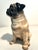 Mid-Century Modern MCM Italian Gumps Hand Painted Porcelain Pug For Sale - Image 3 of 8