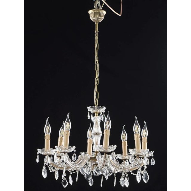Small Crystal 8-Light Chandelier For Sale - Image 8 of 8