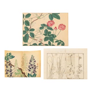 Japanese School Botanical Woodblock Prints, 3 For Sale