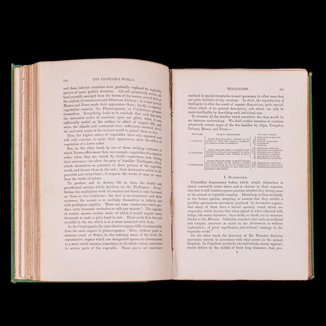 Antique Reference Book, the Vegetable World, English, Louis Figuier, Victorian For Sale - Image 12 of 12