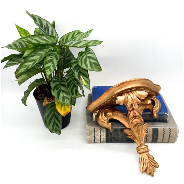 Elegant vintage gilt wood wall bracket featuring a richly carved acanthus and scroll form with a warm, timeworn gold...