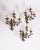 Set of three floral-style wall lamps, made of iron with porcelain details, Italian design, 1950s. Up to 250V (Europe/UK...