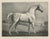 After Chalon, Mambrino Thoroughbred Horse Portrait, 1840, Lithograph For Sale - Image 9 of 9