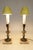 1920s Matched Pair Neoclassic French Empire Regency Tole Bronze Marble Candelabra Table Lamps For Sale - Image 10 of 12