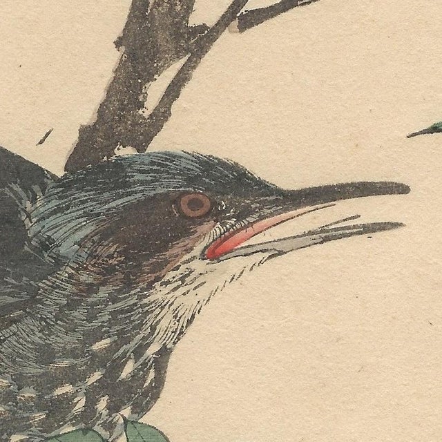 Late 19th Century Imao Keinen, Brown-Eared Bulbul, 1892, Print For Sale - Image 5 of 13