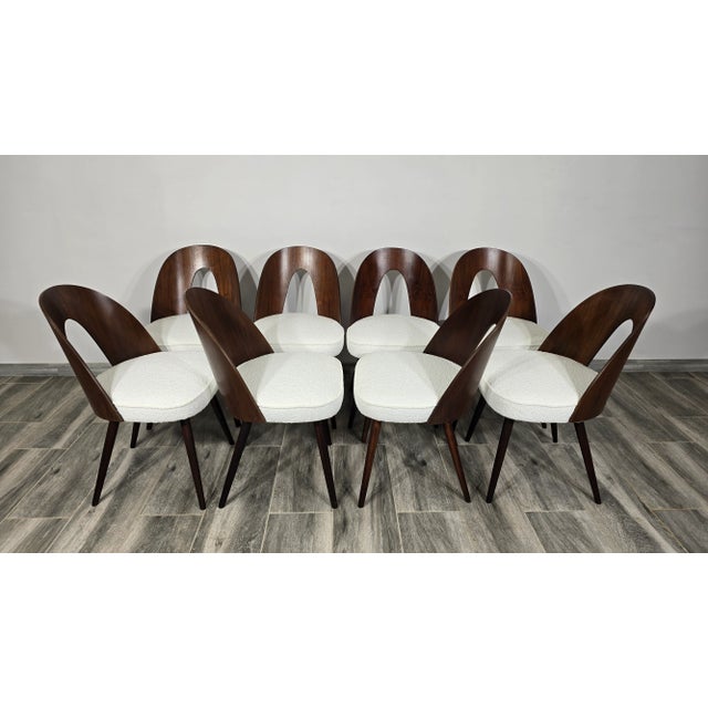 1960s Dining Chairs by Antonin Suman, 1960s, Set of 8 For Sale - Image 5 of 11