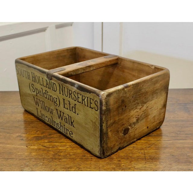19th Century Wine Box, 1920s For Sale - Image 3 of 7