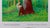Tree Trunk in the Forest Poster after David Hockney For Sale - Image 4 of 6