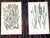 Printmaking Materials Antique 19th Century Botanical Lithographs - Set of 12 For Sale - Image 7 of 10