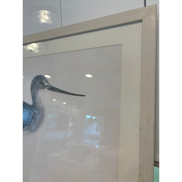 Oversized Ballard Designs Audubon Style Coastal Shorebird Prints – A Pair For Sale - Image 13 of 16