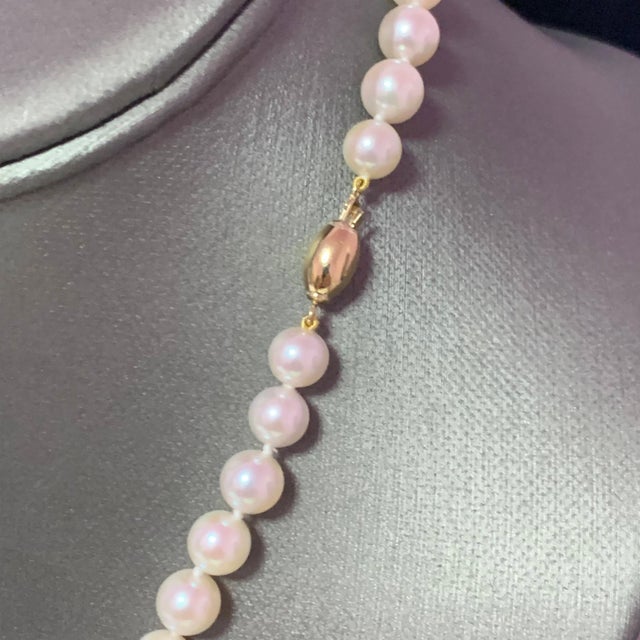 Traditional Akoya Pearl Necklace 14k Gold Certified For Sale - Image 3 of 14