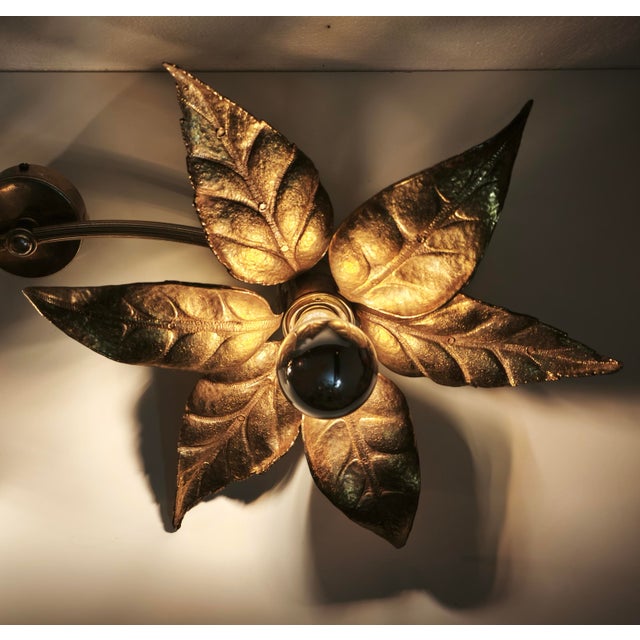 Vintage Brass Flower Wall Lamp by Willy Daro for Massive, Belgium, 1970s For Sale - Image 13 of 18