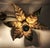 Vintage Brass Flower Wall Lamp by Willy Daro for Massive, Belgium, 1970s For Sale - Image 13 of 18