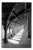 Paul Cooklin, Rafters, Labbaya Blanche, Edition of 50 For Sale