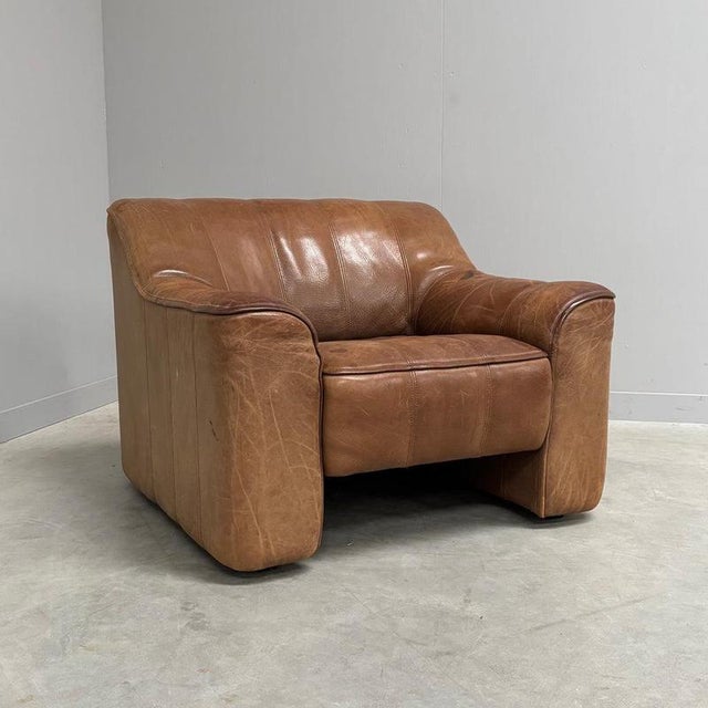 Late 20th Century Vintage DS44 Lounge Chair from de Sede, 1970s For Sale - Image 5 of 15