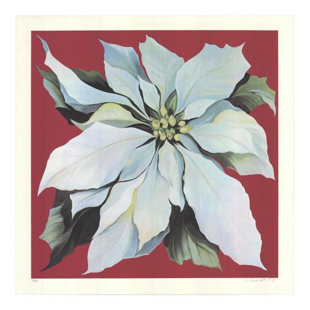 Lowell Nesbitt Pointsettia, 1978 - Signed For Sale