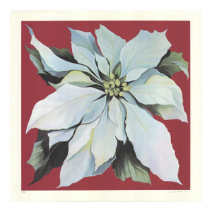 Lowell Nesbitt Pointsettia, 1978 - Signed