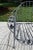 Charcoal Wrought Iron Faux Bois Garden Chair in Dogwood Form, 1960s For Sale - Image 8 of 11