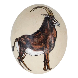 Mid 20th Century Ostrich Egg Hand Painted Sable Antelope on Real Ostrich Eggshell Africa