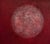 Annette Selle, In the Light, Oil on Canvas For Sale - Image 4 of 4