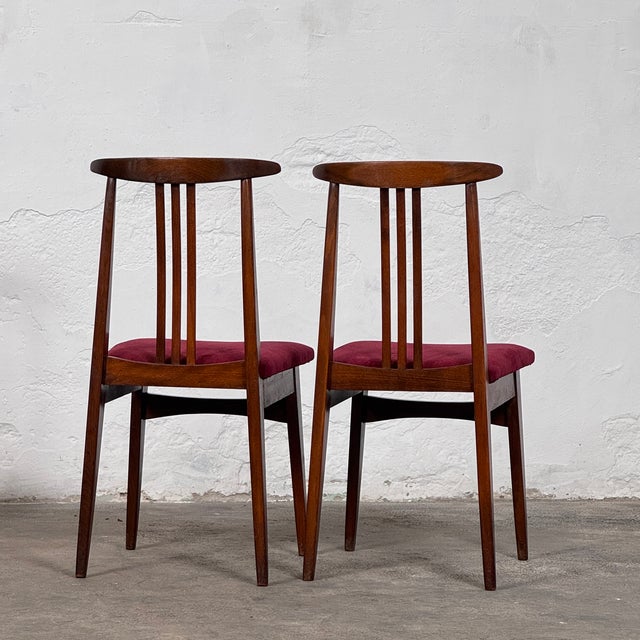 1960s Polish Dining Chairs attributed to M. Zielinski, 1960s, Set of 5 For Sale - Image 5 of 9