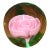Art Glass Rose Paperweight For Sale