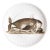 Whale Small Paper Plates Melamine, Set of 4 For Sale