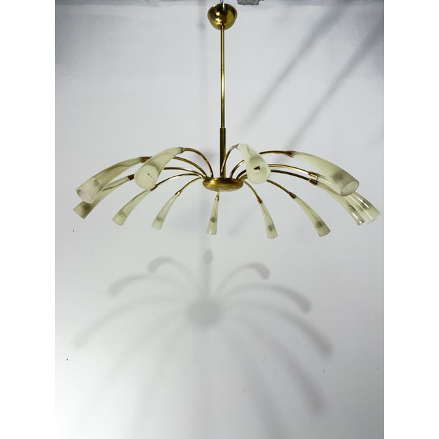 Ercole Barovier 12-Light Spider Hanging Lamp in Brass and Murano Glass in the style of Ercole Barovier, 1950 For Sale - Image 4 of 15