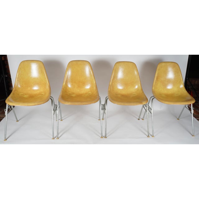 Vintage Eames Fiberglass DSS Stacking Chairs in the color yellow by Charles and Ray Eames for Herman Miller Set of 4....