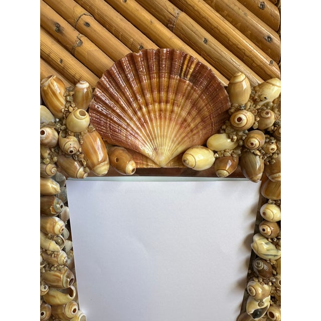 Tan Vintage French Mid Century Seashell Wall Mirror For Sale - Image 8 of 12