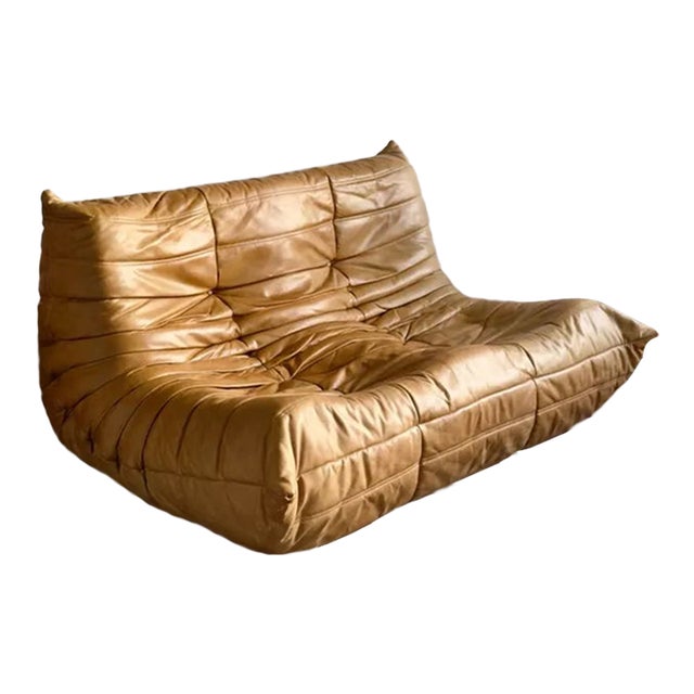 Togo 2-Seater Sofa Ligne Roset For Sale